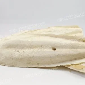 Samundar Jhaag - Cuttlefish /سمندر جھاگ