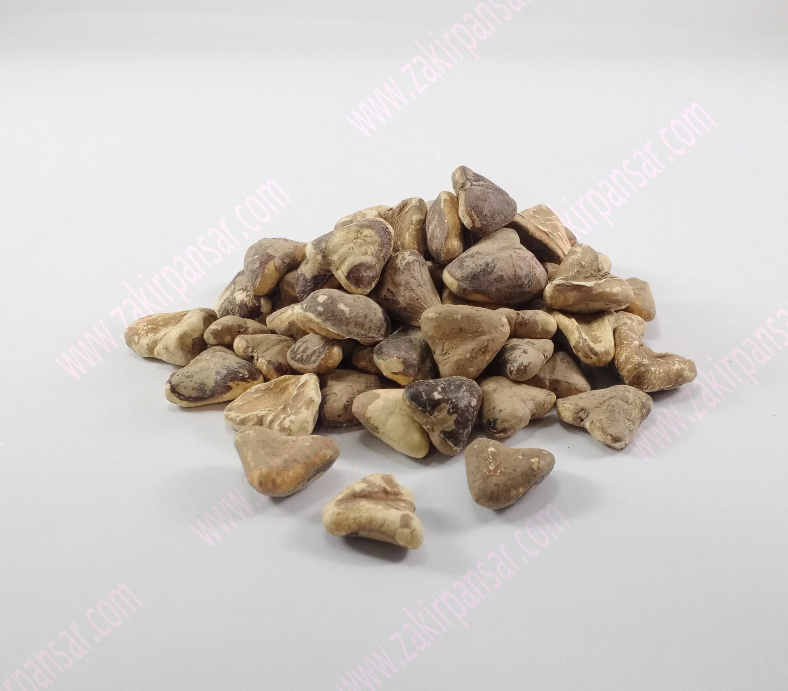 Water Chestnut | Sangharry | سنگھاڑے Water Chestnut | Sangharry | سنگھاڑے Zakir Pansar