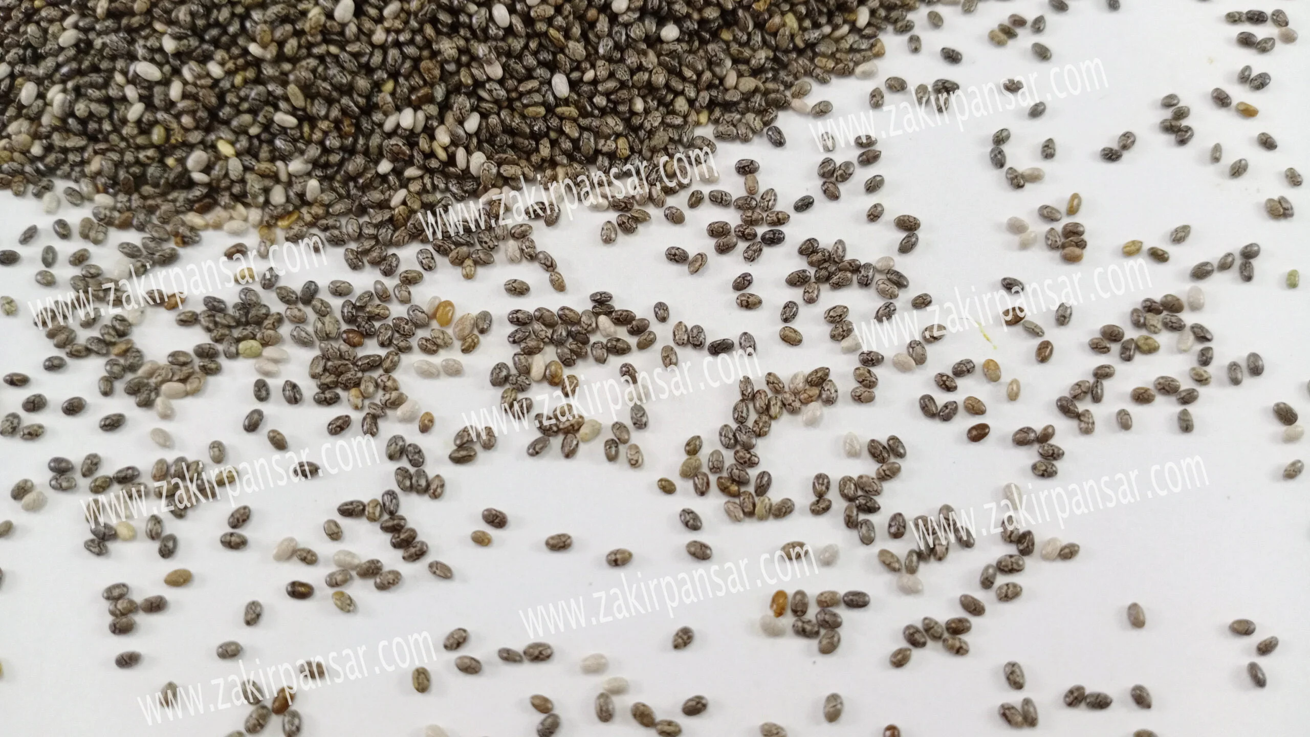 Chia-Seeds5-scaled-1.jpg