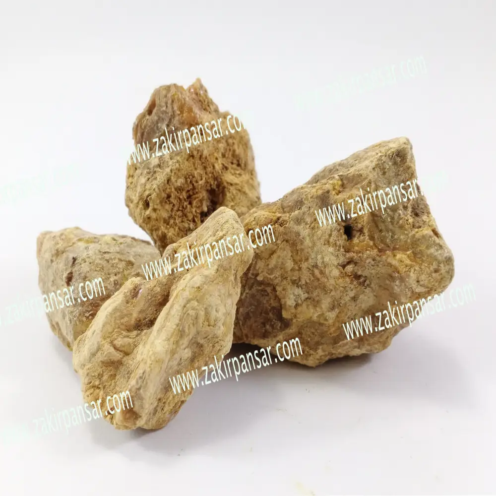 Sakhua/ Sal Tree/ Shorea Robusta/Raal Safaid / رال سفید - Zakir Pansar