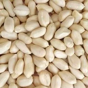 Peanut White / مونگ پھلی سفید