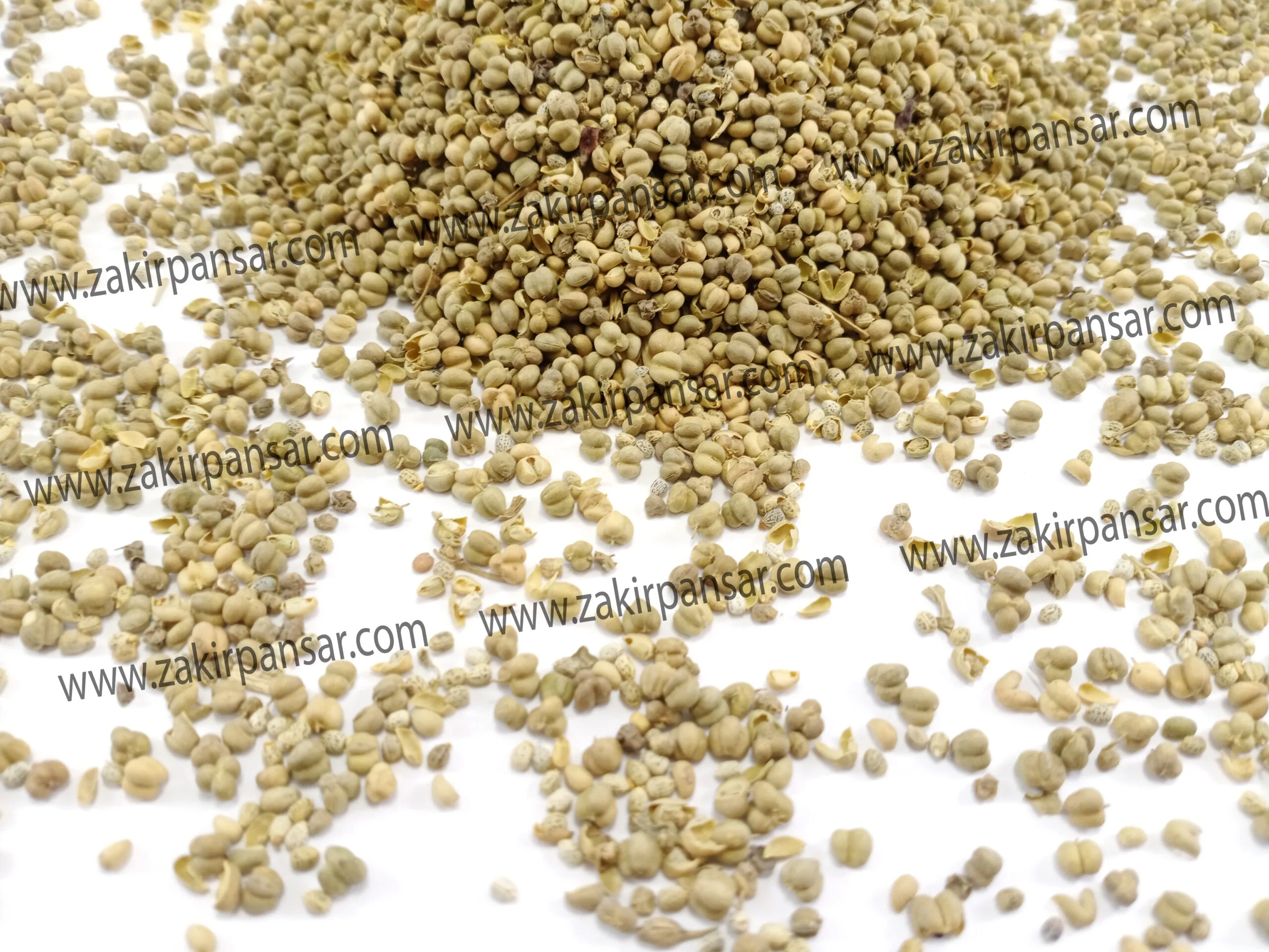 Rue seeds | Tukhm-e-Sudab | تخم سداب Zakir Pansar