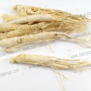 Ginseng | Jin sing | / جنسنگ | جن سنگ | Zakir Pansar