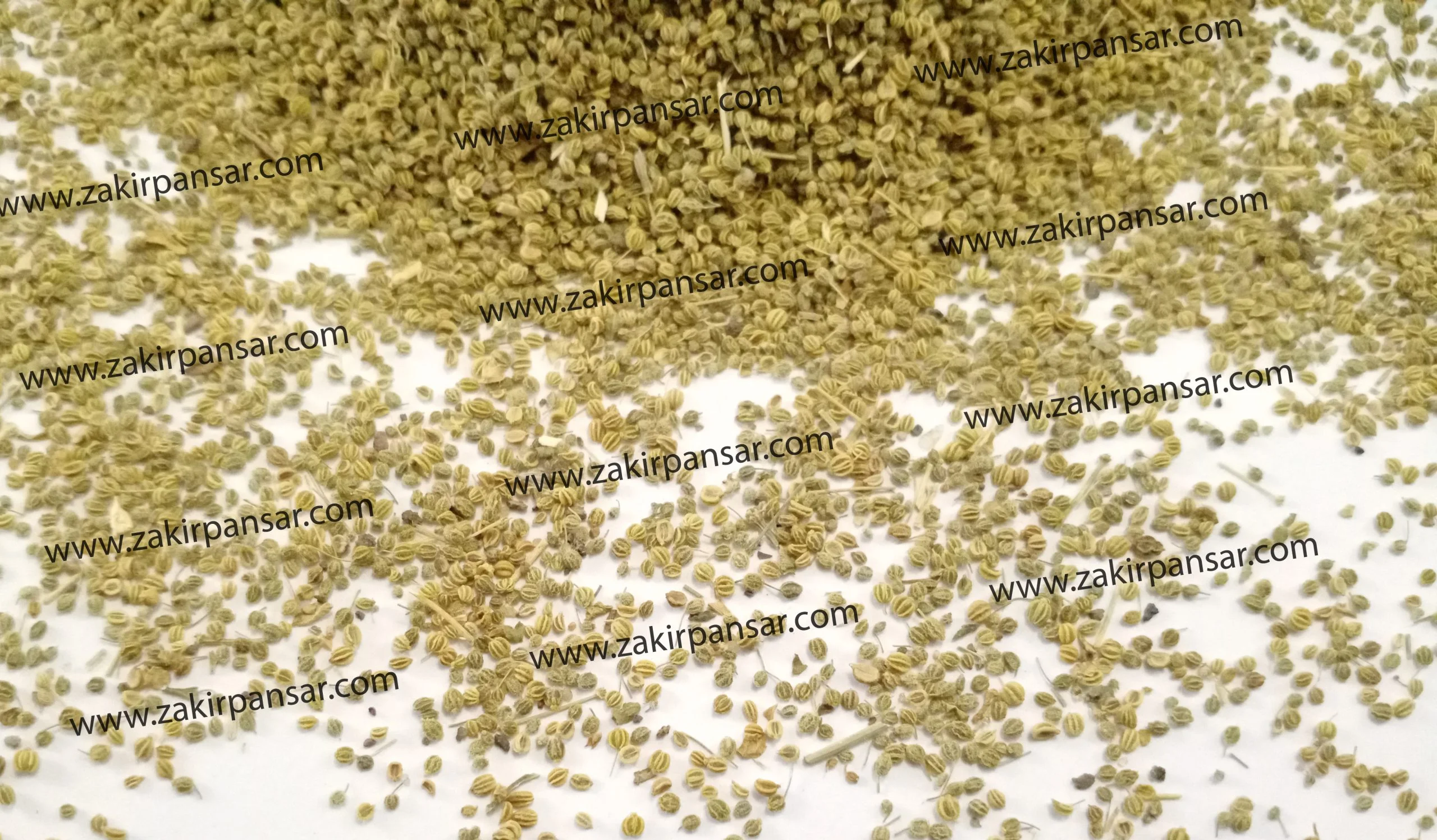 Ajwain | Carom Seeds | Ajwain Wal | اجوائن ول Zakir Pansar