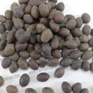 Kol Doday - Lotus Seeds - /کول ڈوڈے Zakir Pansar