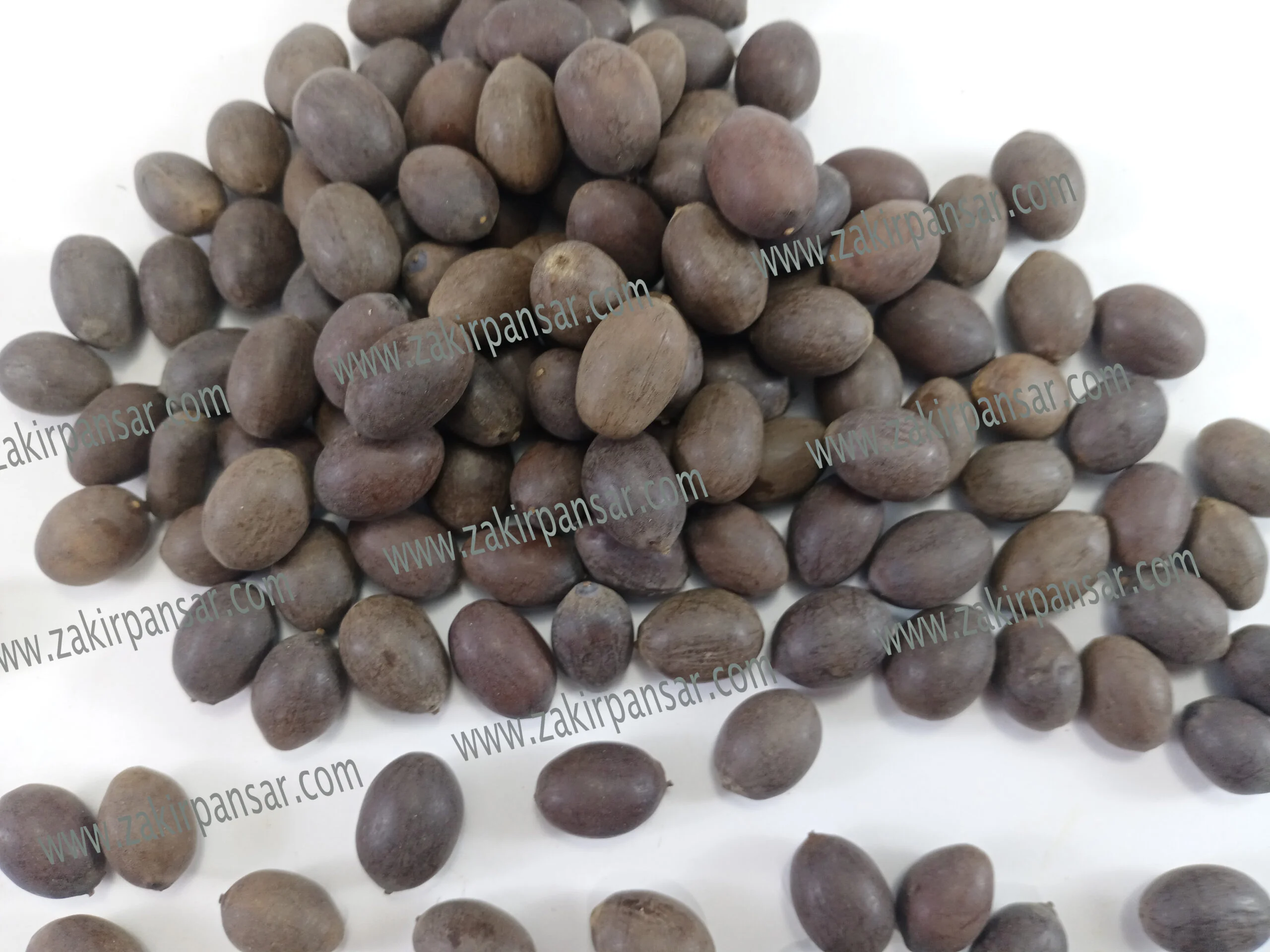 Kol Doday - Lotus Seeds - /کول ڈوڈے Kol Doday - Lotus Seeds - /کول ڈوڈے Zakir Pansar