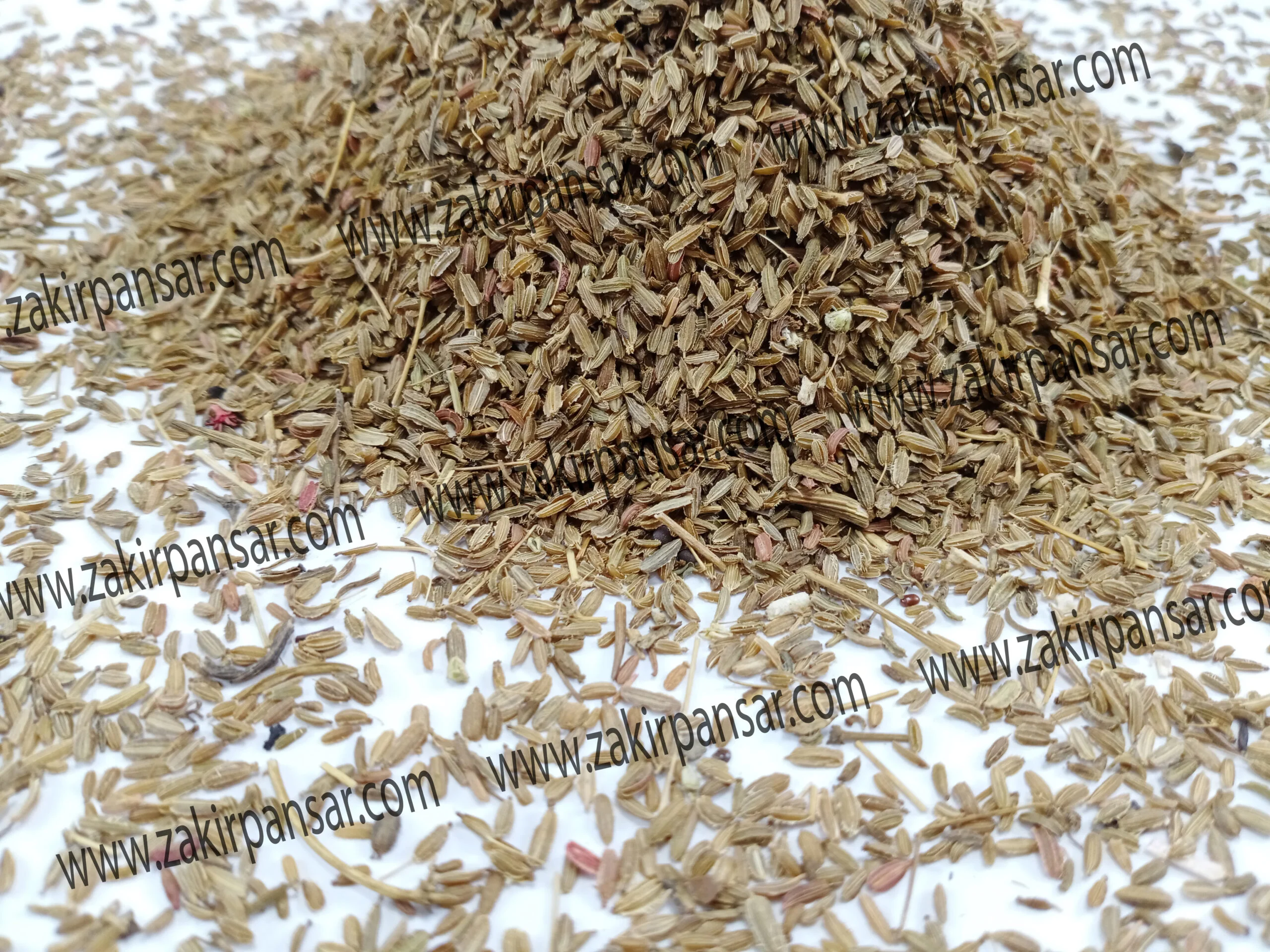 Carrot Seeds | Tukhm-e-Gajar | تخم گاجر Zakir Pansar