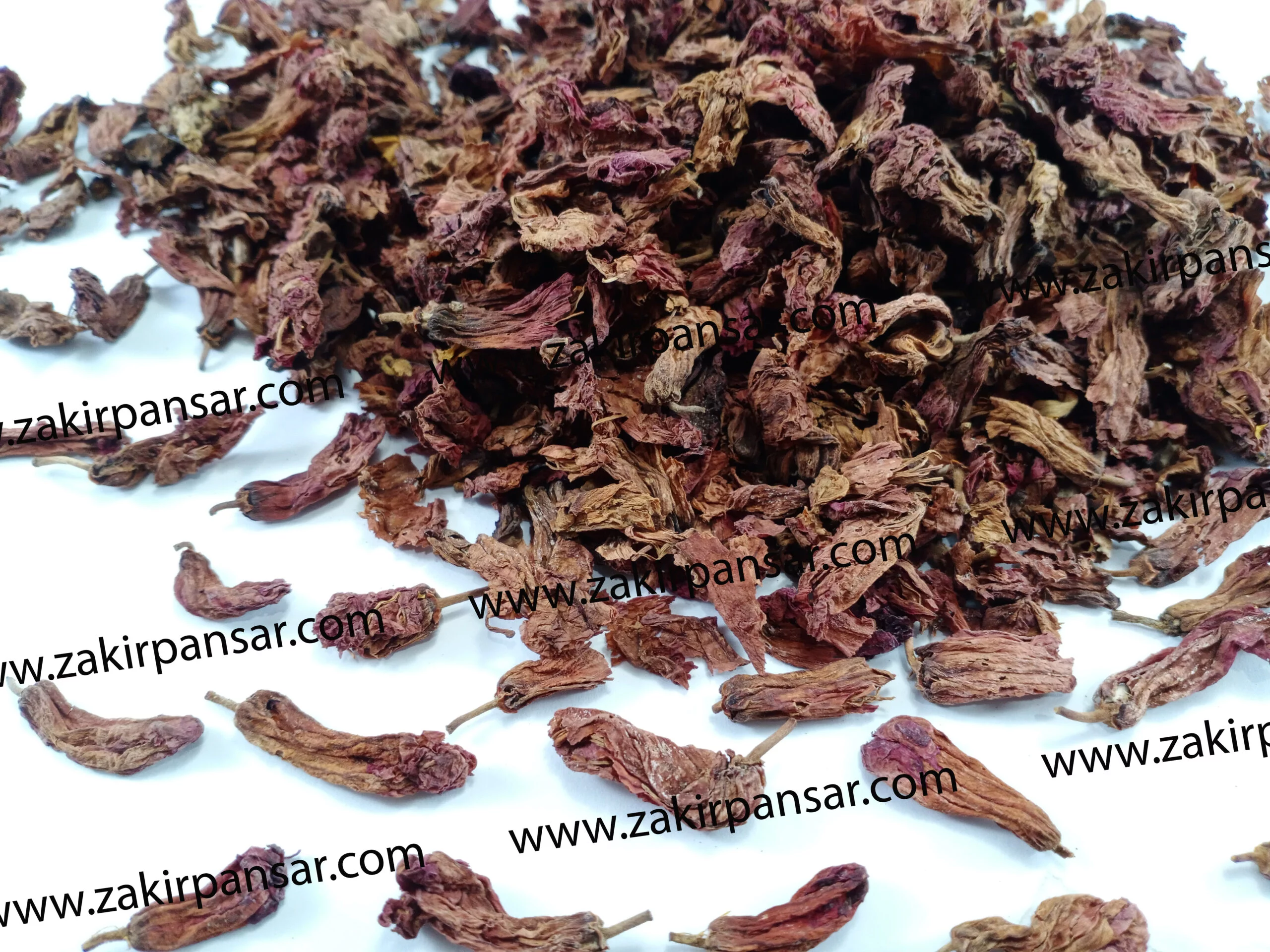 Gul-e-Gurhal | Hibiscus Flowers | گل گڑھل Zakir Pansar
