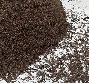 Samunder Sokh | Argyreia speciosa | Samandar Sukh | سمندر سوکھ