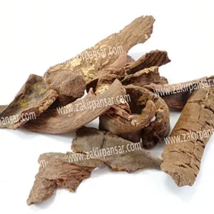 Kaiphal | Myrica Esculenta | Kaifal کائفل | کاں پھل