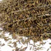 Kali Zeeri | Zeeri Siya | کالی زیری | کوڑ زیری