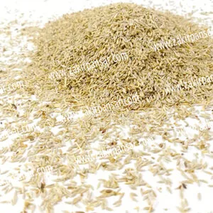 Kahu | Tukham Kahu | تخم کاہو | کاہو کے بیج Zakir Pansar