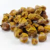 Solanum Indicum | Kandyari | کنڈیاری Zakir Pansar