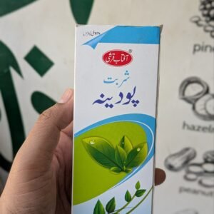 Sharbat Podina | Aftab Qarshi - 240ml | شربت پودینہ